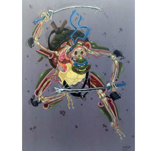 Illustration for article titled Here Is What The Teenage Mutant Ninja Turtles Look Like On The Inside